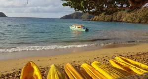 Immerse Yourself in Tobago's Vibrant Culture and Rich Heritage