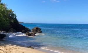Mount Irvine Bay